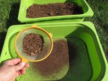 Sieving forest soil