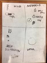 Classifying how seeds disperse